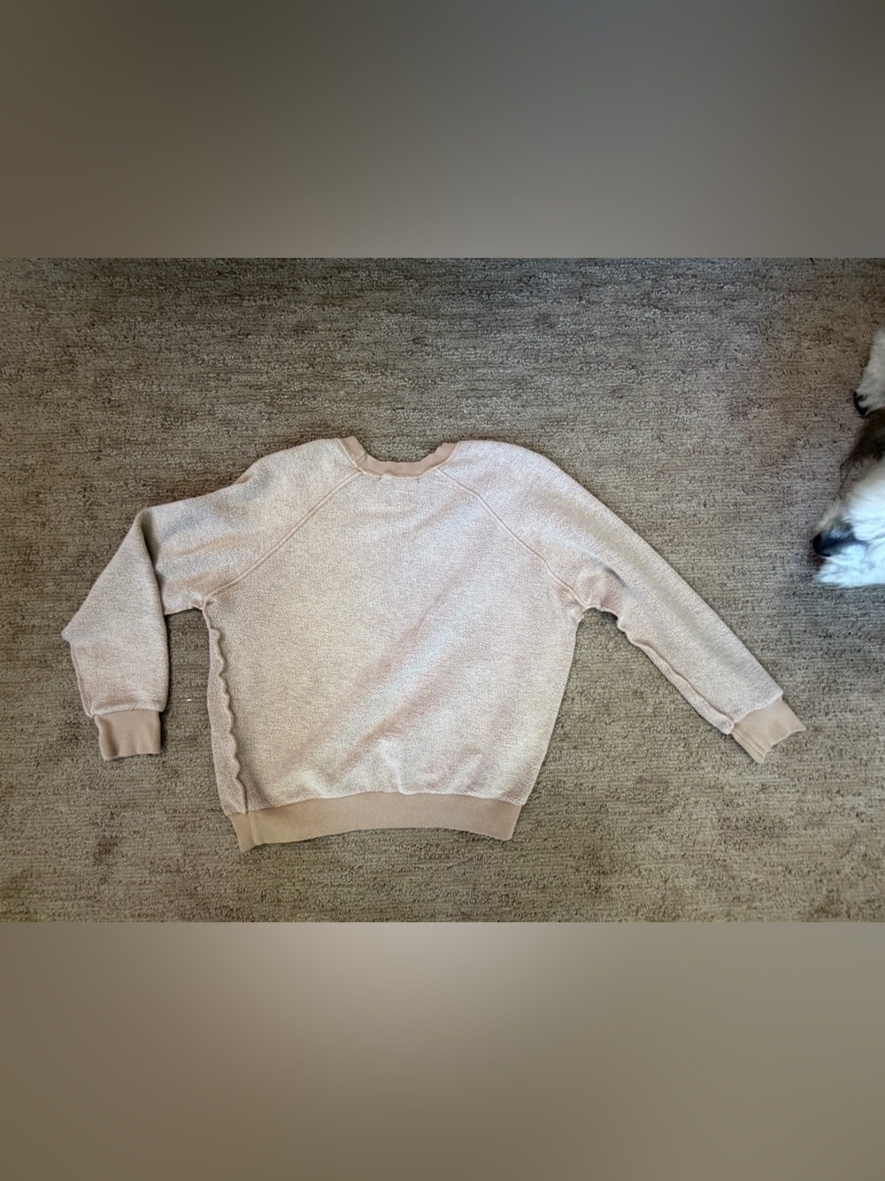 Perfect White Tee Izzy Sweatshirt - Picture 5 of 5